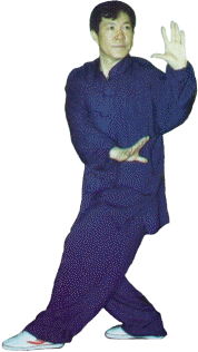 Qing Long Chu Shui - Ba Gua Zhang - M&deg; Yang Lin Sheng