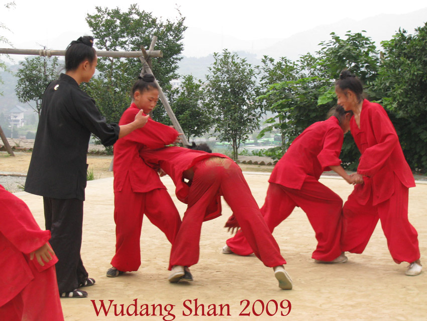 wudang shan tai chi Pesaro kung fu Urbino