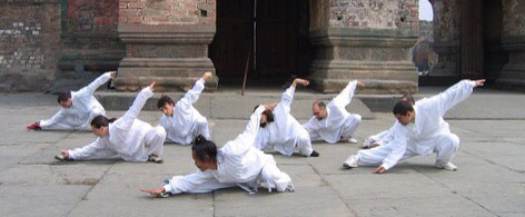 pu bu zhuang taiji taichi Urbino Italy PU