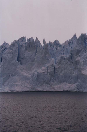 a31