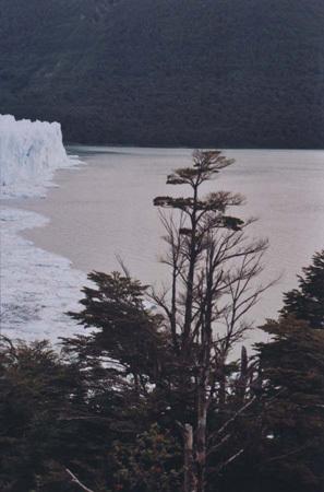 a34