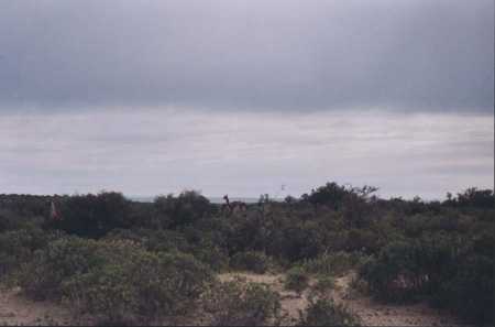a7