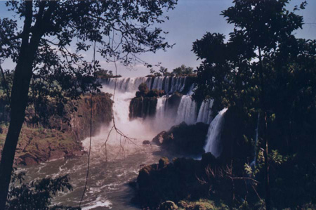 c19