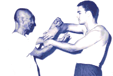 wing chun - wing tsun - jeet kune do