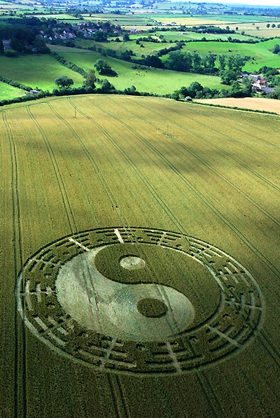 Cerchi nel Grano 12 segni dello zodiaco