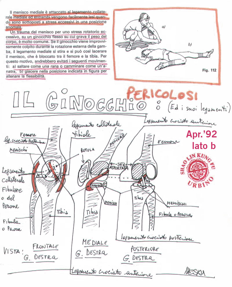 ginocchio crociati menischi rischi