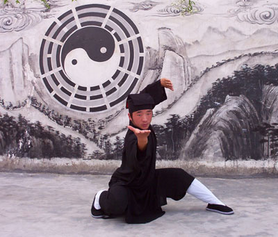 Stili di Kung Fu Interno