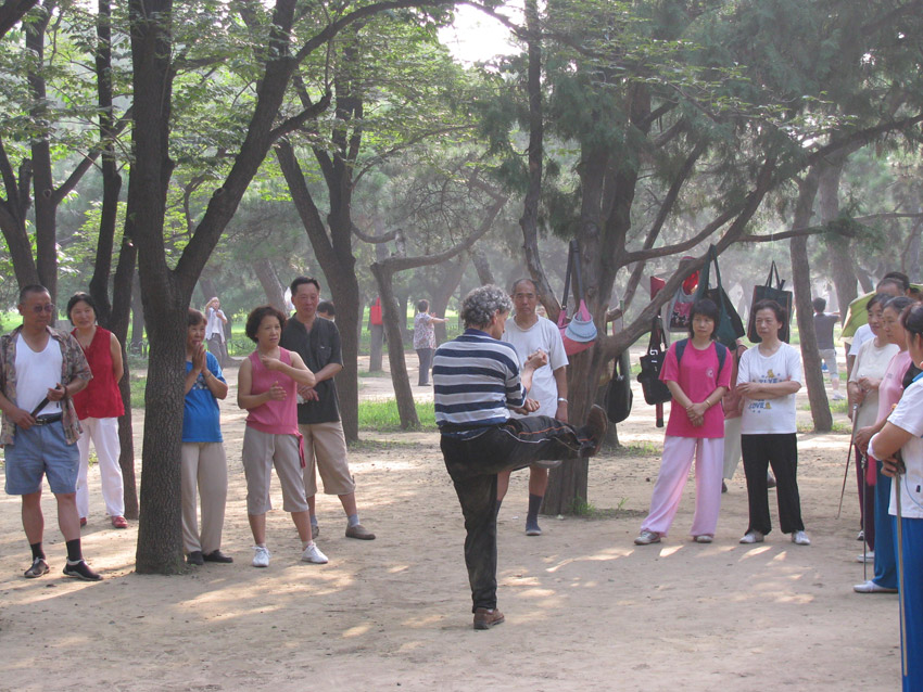 tai chi pesaro urbino taiji tai qi