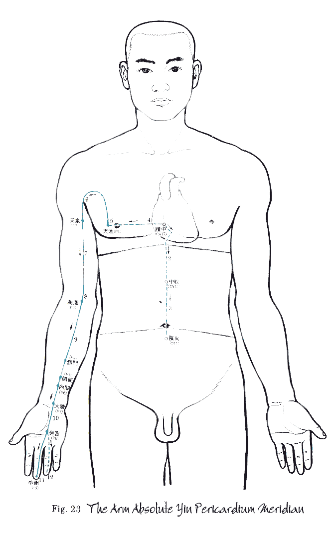 Ministro del Cuore Pericardio Maestro del Cuore Pericardium 