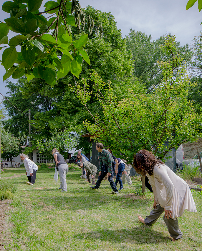 Bologna Tai Chi