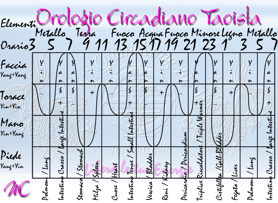 orologiocircadiano taoista